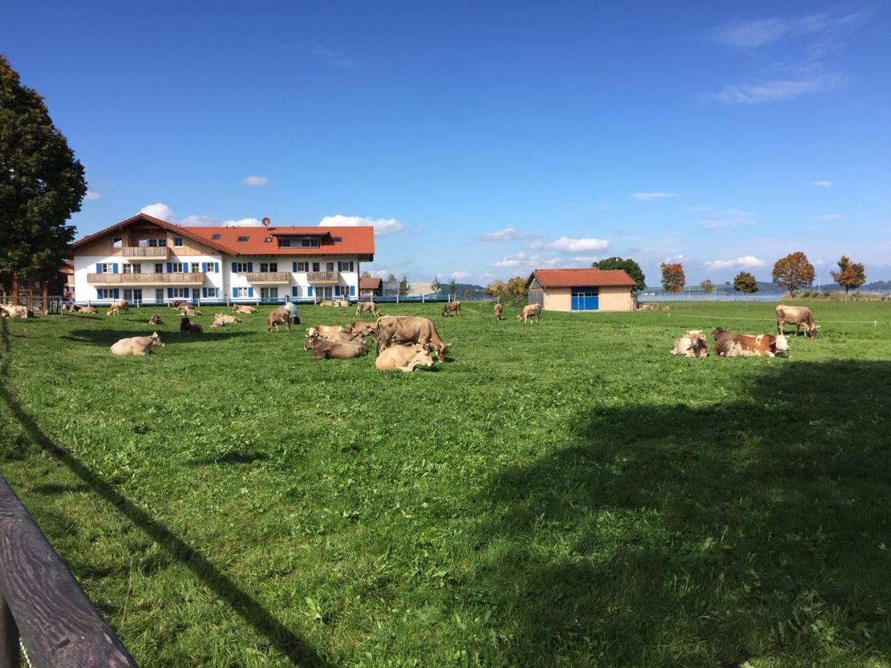 Alpenglueck De Luxe Ferienwohnung Am Forggensee Schwangau Exteriör bild